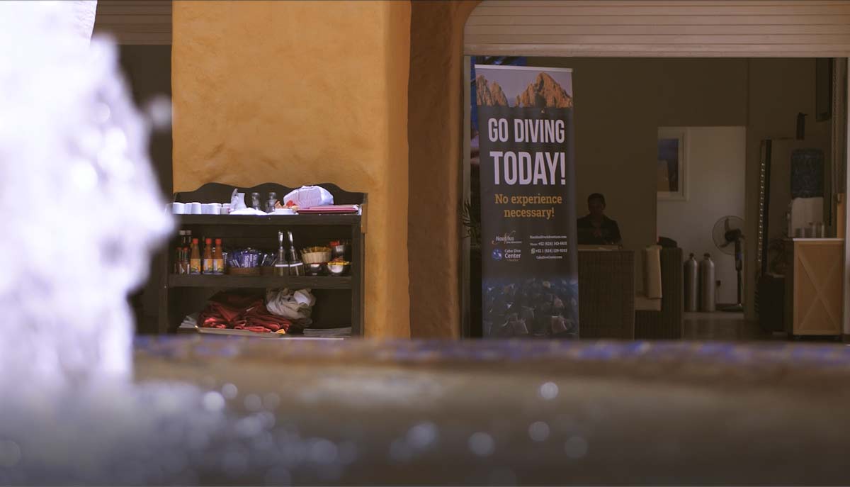 Find the Cabo San Lucas Dive shop See Creatures